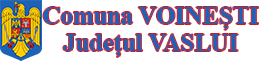 Primaria comunei Voinești, judetul Vaslui